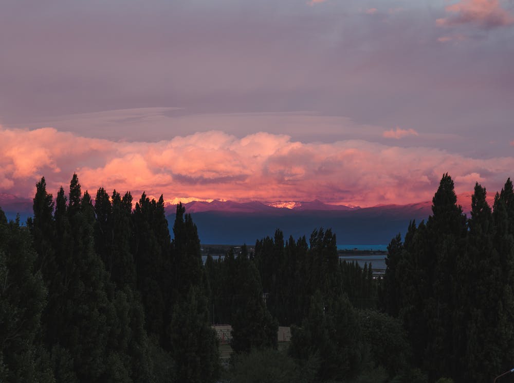 Vista tramonto dietro una distesa di alberi