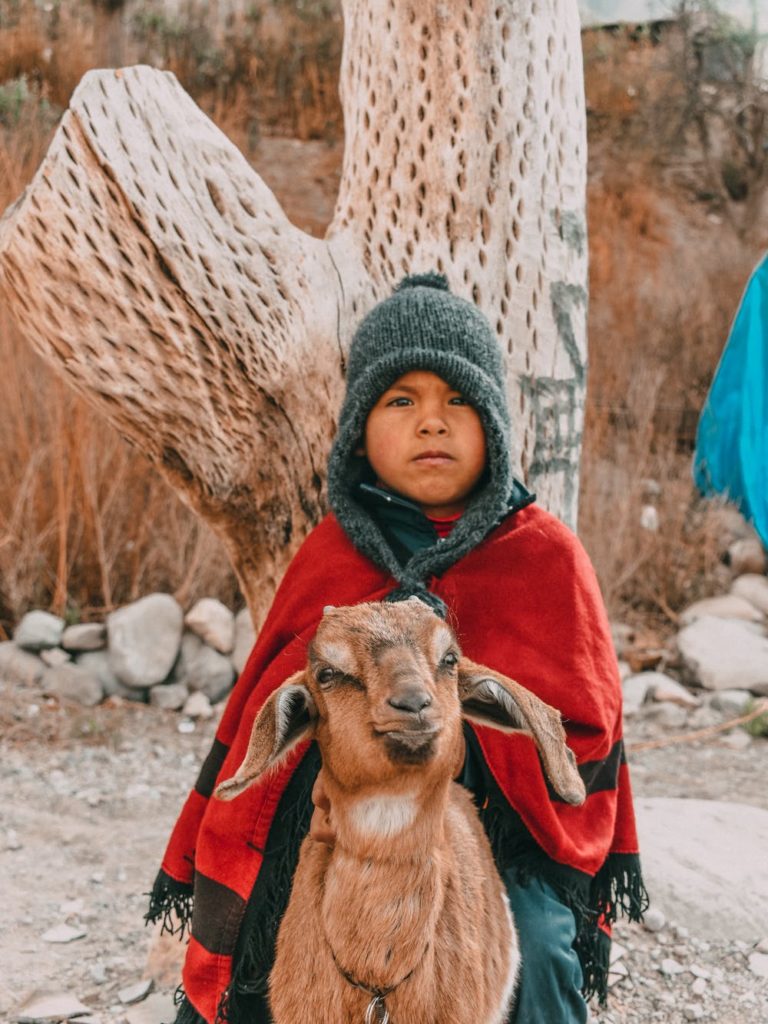 Foto di un bambino su una capra