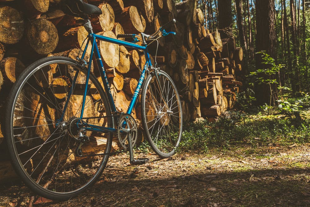 Foto di una bici blu appoggiata su un legame con vicino degli alberi verdi