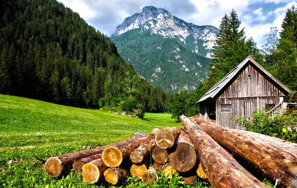 Vista da un rifugio di montagne verdi e circondato da alberi alti e verdi