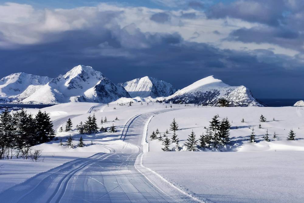 Vista pista da scii con alberi sparsi e montagne coperte di neve con un cielo grigio e nuvoloso