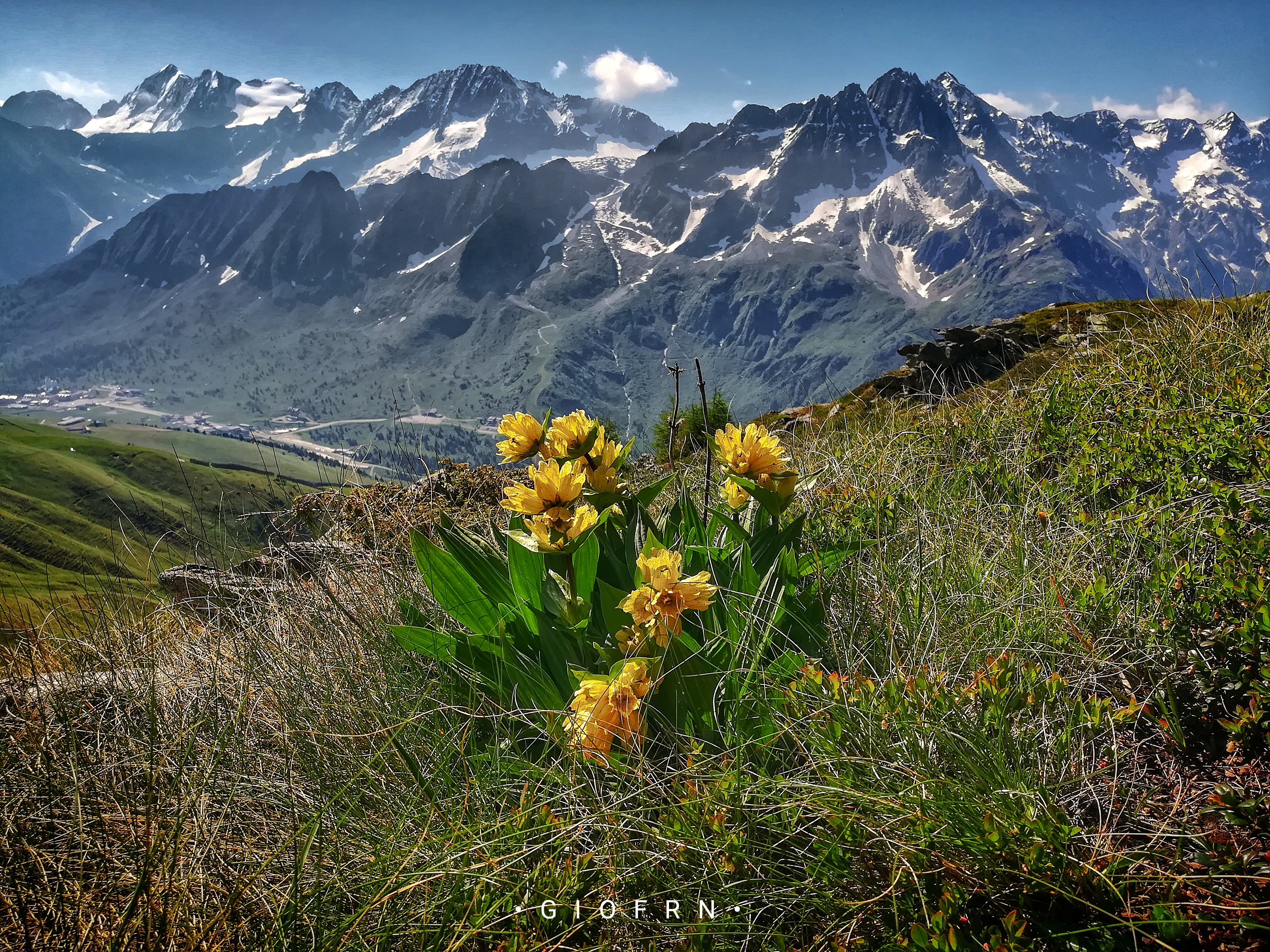 Foto di Giovanni Franceschetti