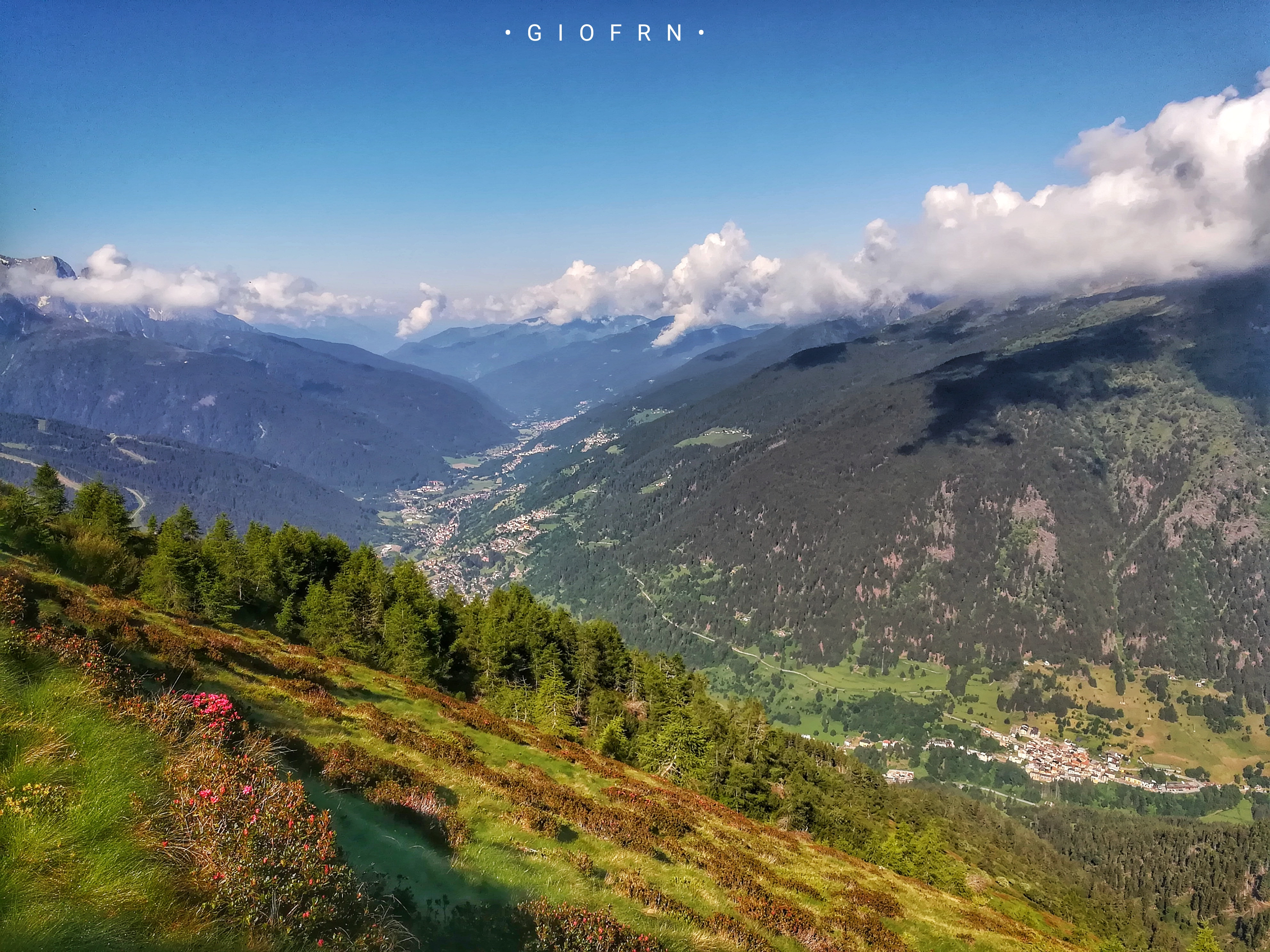 Foto di Giovanni Franceschetti